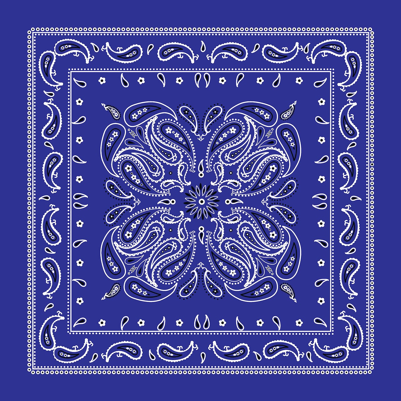 Paisley Bandana by Make Market®